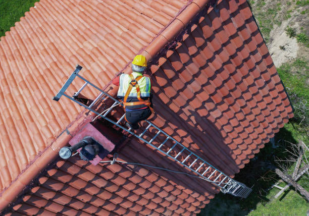 Best Roof Moss and Algae Removal  in Cheat Lake, WV