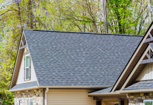 Best Roof Leak Repair  in Cheat Lake, WV